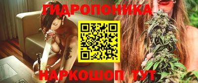 молекула духа Лесосибирск