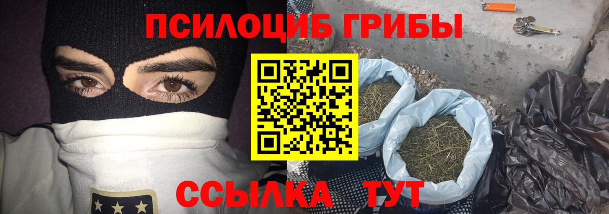 Псилоцибиновые грибы GOLDEN TEACHER Ипатово